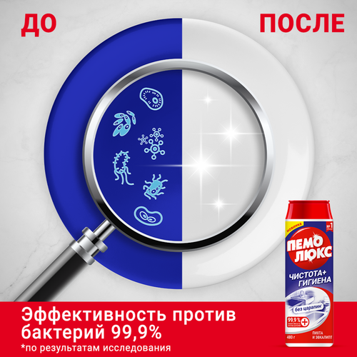 Порошок для чистки ПЕМОЛЮКС Чистота+Гигиена Пихта и эвкалипт, 480г, изображение