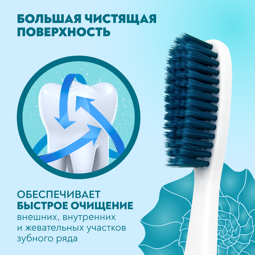 Зубная щетка PRESIDENT Four Calcium устранение пятен и налета, вид