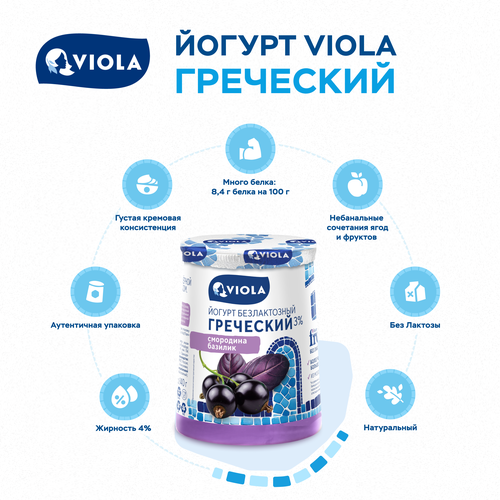 Йогурт VIOLA Free Греческий безлактозный с черной смородиной и базиликом 3%, без змж, 140г, детальное фото