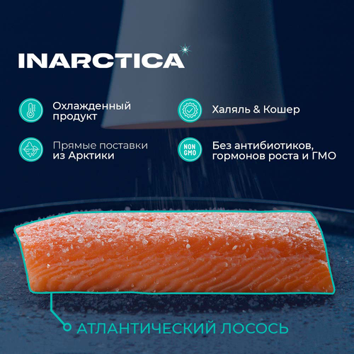 Лосось с головой 3–8кг ЛЕНТА FRESH, весовой, фотография