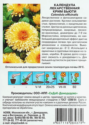 Семена Календула Крим бьюти, вид