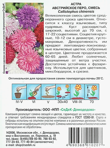 Семена Астра Австрийское перо, картинка