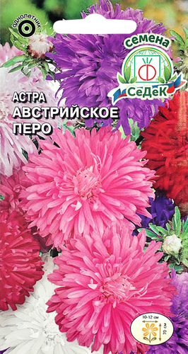 Семена Астра Австрийское перо, картинка
