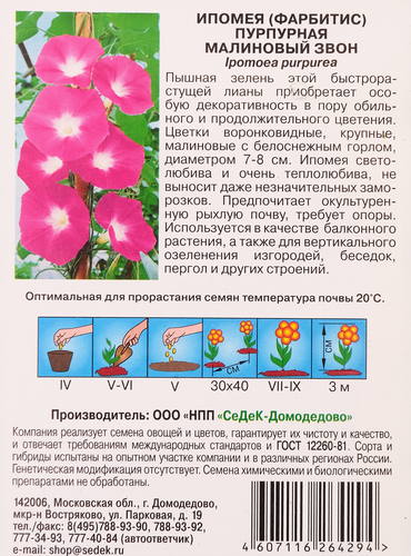 Семена Ипомея Малиновый звон, фото