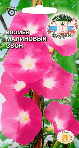 Семена Ипомея Малиновый звон, изображение