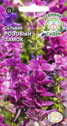 Семена Сальвия Розовый замок, фото