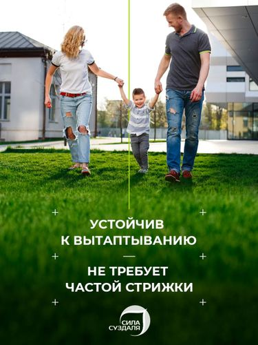 Газон Premium Sport  Сила Суздаля 1 кг, вид
