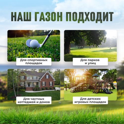 Газон Premium Sport  Сила Суздаля 1 кг, фотография