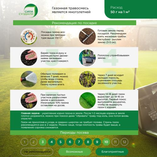 Газон Premium Sport  Сила Суздаля 1 кг, вид