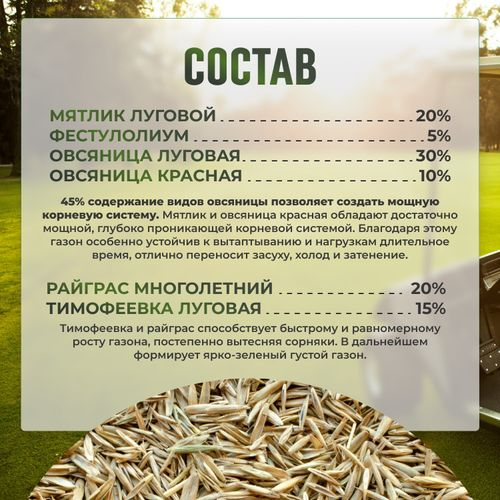Газон Premium Sport  Сила Суздаля 1 кг, детальное фото