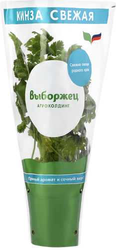 Кинза/кориандр, в горшочке, картинка