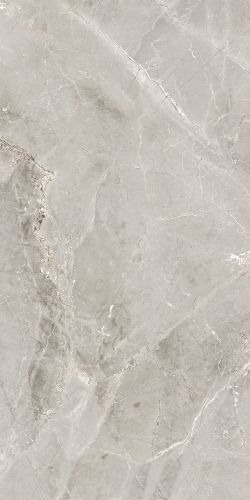 Керамогранит Global Tile Tulip серый 60X120 см 1,44 м², крупный план