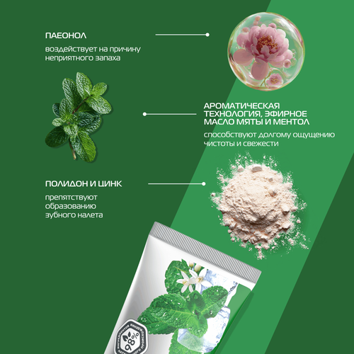 Зубная паста BIOMED Мятный шторм, 100г, детальное фото
