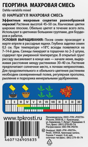 Семена АГРОУСПЕХ Георгина Махровая, смесь, 0,2г, картинка
