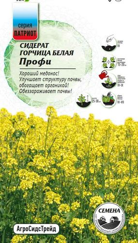 Семена Сидерат Горчица белая Профи ПАТРИОТ, детальное фото