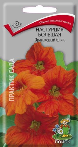 Семена Настурции ПОИСК Большая Оранжевый блик 0,1 г, фотография