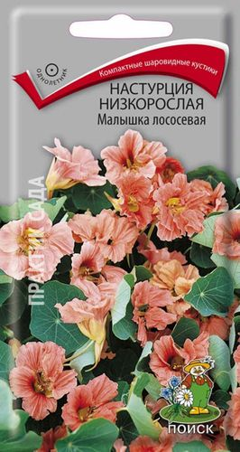 Семена Настурции низкорослой ПОИСК Малышка лососевая 1 г, изображение
