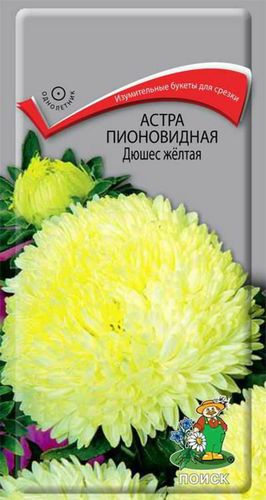 Семена Астры пионовидной ПОИСК Дюшес 0,3 г, крупный план