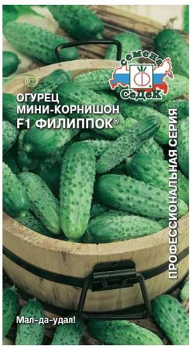 Семена огурцов СеДеК Филиппок F1 10 г, вид