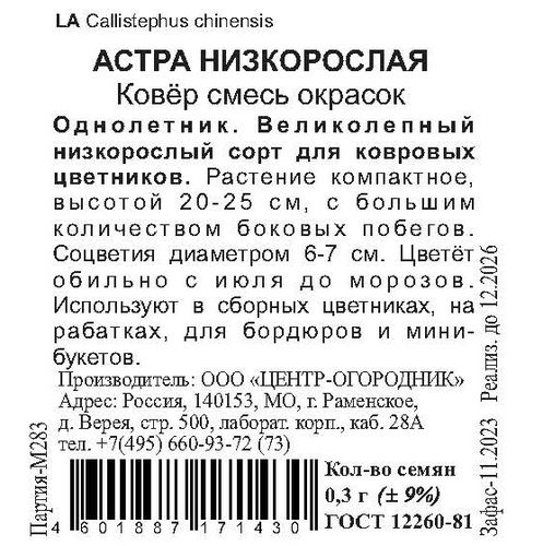 Семена Астра низкорослая Ковер смесь окрасок 0,3 гр, вид