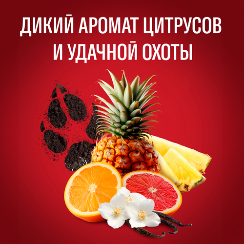 Гель для душа+Шампунь OLD SPICE Wolfthorn, 1000мл, вид