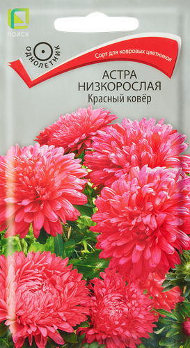 Семена ПОИСК Астра низкорослая Красный ковер, 0,2г, картинка