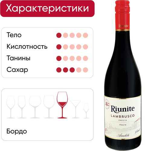 Вино игристое RIUNITE Ламбруско Эмилия IGT жемчужное красное полусладкое, 0.75л, детальное фото