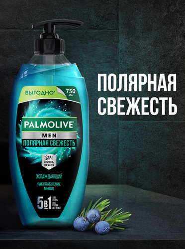 Гель для душа мужской PALMOLIVE Men Полярная свежесть 5в1, 750мл, детальное фото
