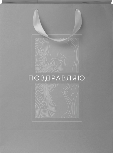 Пакет подарочный CITY HOME TRADE Basic Men 14,6х11,4х6,4см, 1шт, крупный план