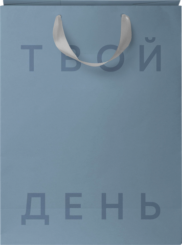 Пакет подарочный CITY HOME TRADE Basic Men 22,7х18х10см, 1шт, крупный план