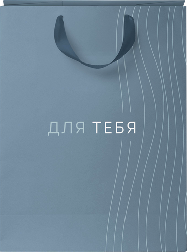 Пакет подарочный CITY HOME TRADE Basic Men 31,5х25,5х11см, 1шт, крупный план