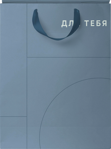 Пакет подарочный CITY HOME TRADE Basic Men 41х31х10см, 1шт, вид