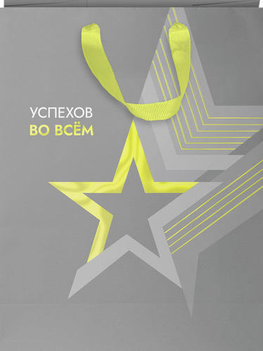 Пакет подарочный CITY HOME TRADE Special Men 31,5х25,5х11см эффект, 1шт, детальное фото