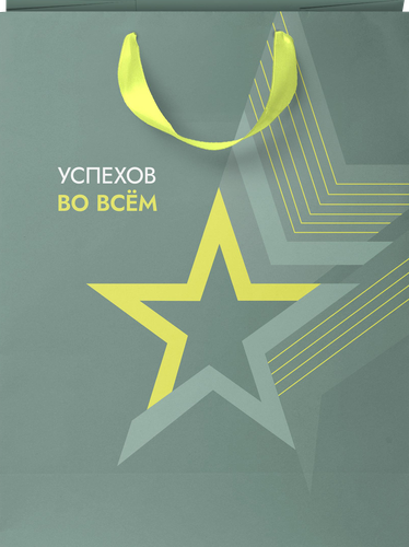 Пакет подарочный CITY HOME TRADE Special Men 31,5х25,5х11см эффект, 1шт, вид