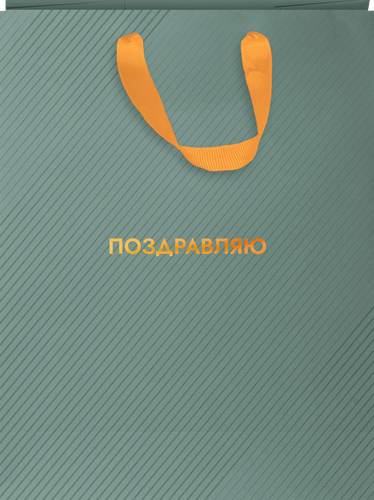 Пакет подарочный CITY HOME TRADE Special Men 31,5х25,5х11см эффект, 1шт, изображение