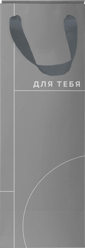 Пакет подарочный CITY HOME TRADE Basic Men под бутылку премиум 12х38х10см, 1шт, картинка
