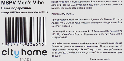 Пакет подарочный CITY HOME TRADE Men's Vibe 20х24х10см, 1шт, картинка