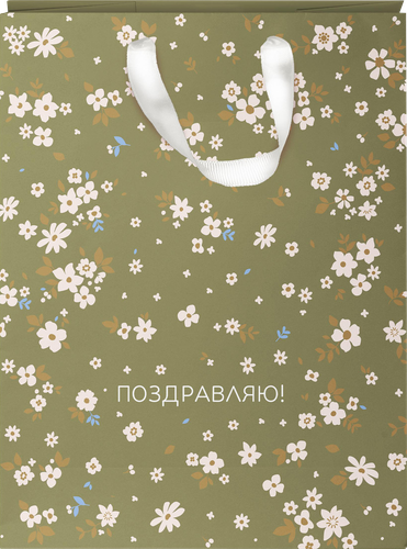Пакет подарочный CITY HOME TRADE Cherry Lady 41х31х10см, 1шт, детальное фото