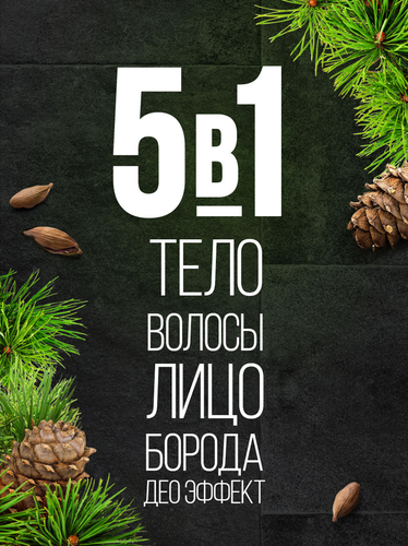 Гель для душа мужской PALMOLIVE Men 5в1 Кедр и кардамон, 500мл, картинка