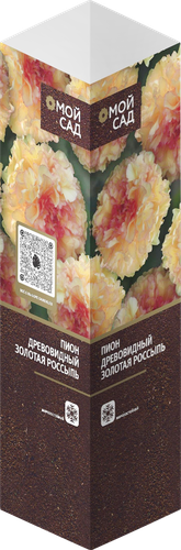 Саженец Пион привитый древовидный, микс, шт, фотография