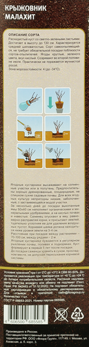 Саженец МОЙ САД Крыжовник, микс, шт, изображение