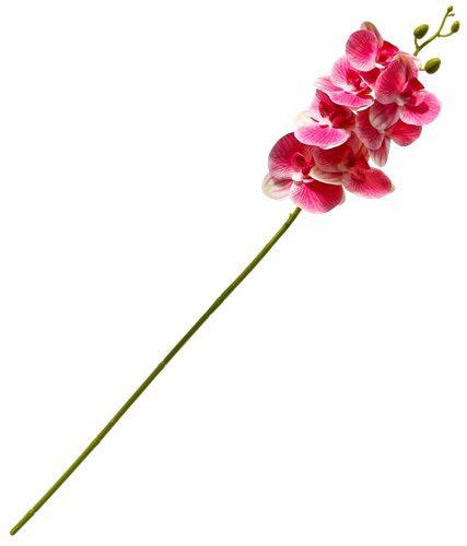 Цветы искусственные POETRY IN FLOWERS Орхидея Экстра галант h=60см d=8см, изображение