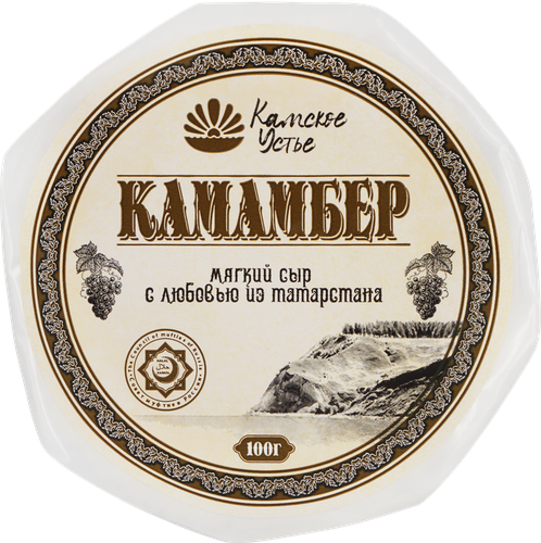 Сыр мягкий КАМСКОЕ УСТЬЕ Камамбер с благородной плесенью, без змж, 100г, крупный план