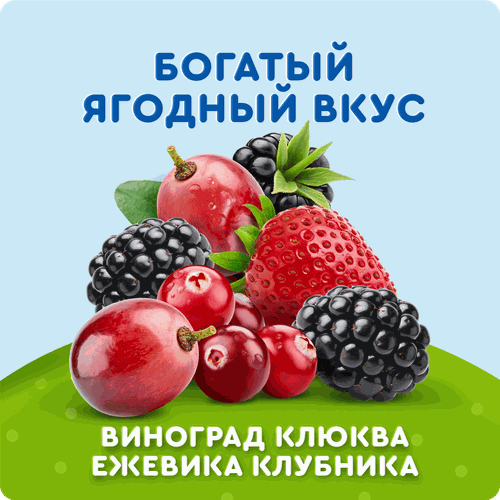 Морс ягодный АГУША Ягодный сбор, из винограда, клюквы, ежевики и клубники, с 12 месяцев, 200мл, детальное фото