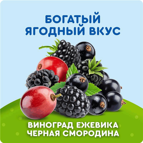 Морс ягодный АГУША Виноград, ежевика и черная смородина, с 12 месяцев, 200мл, фотография