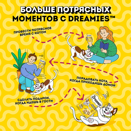 Лакомство для кошек DREAMIES с добавлением сыра, 60г, фото
