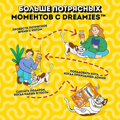 Лакомство для кошек DREAMIES с курицей, 60г, фото
