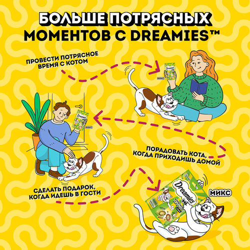 Лакомство для кошек DREAMIES Mix (Микс) курица, кошачья мята, 60г, фото