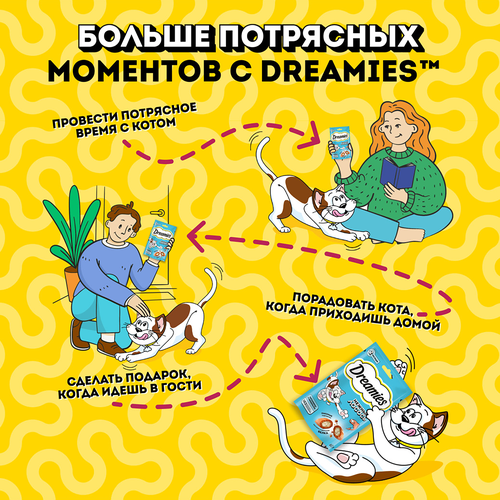 Лакомство для кошек DREAMIES с лососем, 60г, крупный план