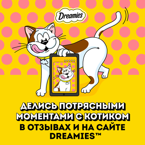 Лакомство для кошек DREAMIES с курицей, 140г, крупный план